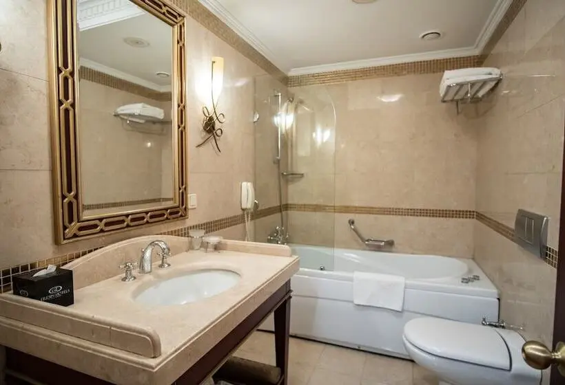 Fotos del hotel Eresin Hotels Sultanahmet  Boutique Class:  8