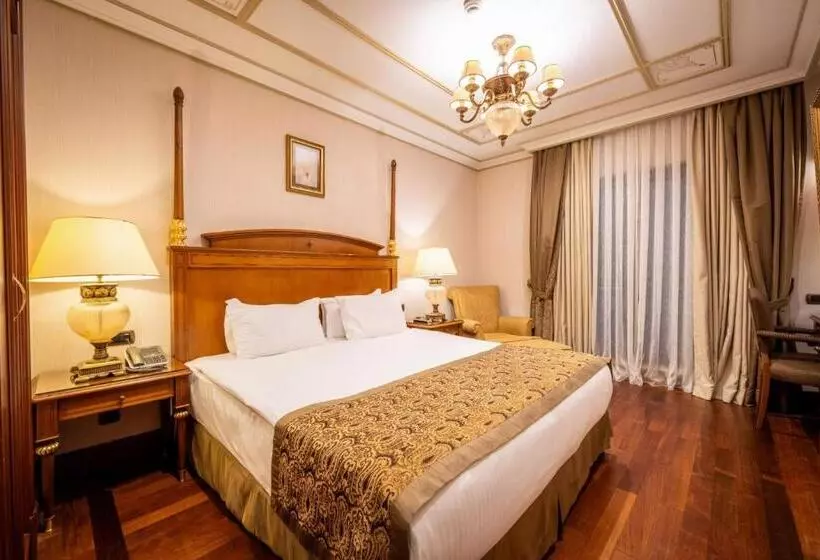 Fotos del hotel The Central Palace Taksim:  21