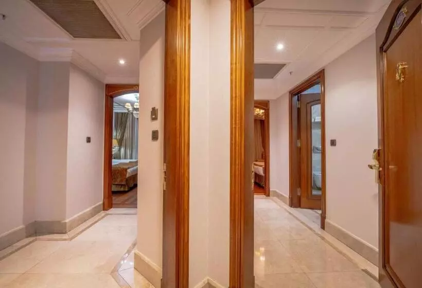 Fotos del hotel The Central Palace Taksim:  5