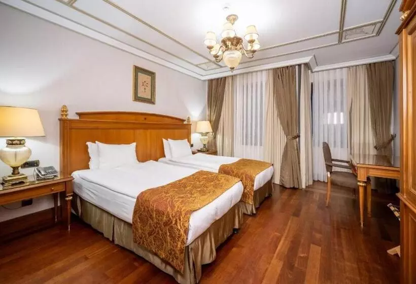 Fotos del hotel The Central Palace Taksim:  12