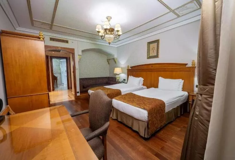 Fotos del hotel The Central Palace Taksim:  14