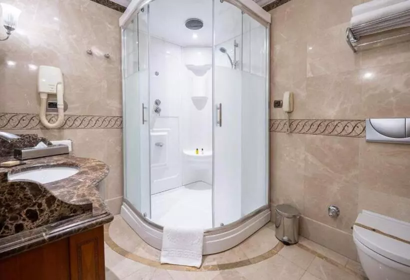 Fotos del hotel The Central Palace Taksim:  15