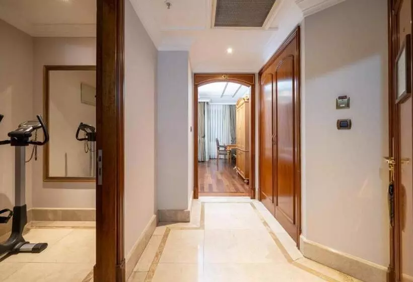 Fotos del hotel The Central Palace Taksim:  8