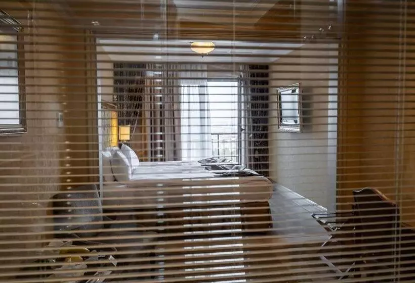 Fotos del hotel The Central Palace Taksim:  24