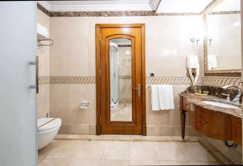 Fotos del hotel The Central Palace Taksim:  13