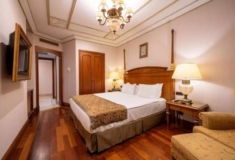 Fotos del hotel The Central Palace Taksim:  19