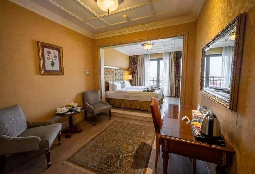 Fotos del hotel The Central Palace Taksim:  10