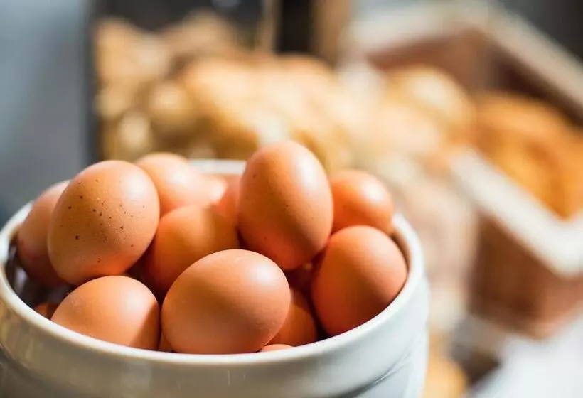 Fotos del hotel Amedia Express Praha:  17