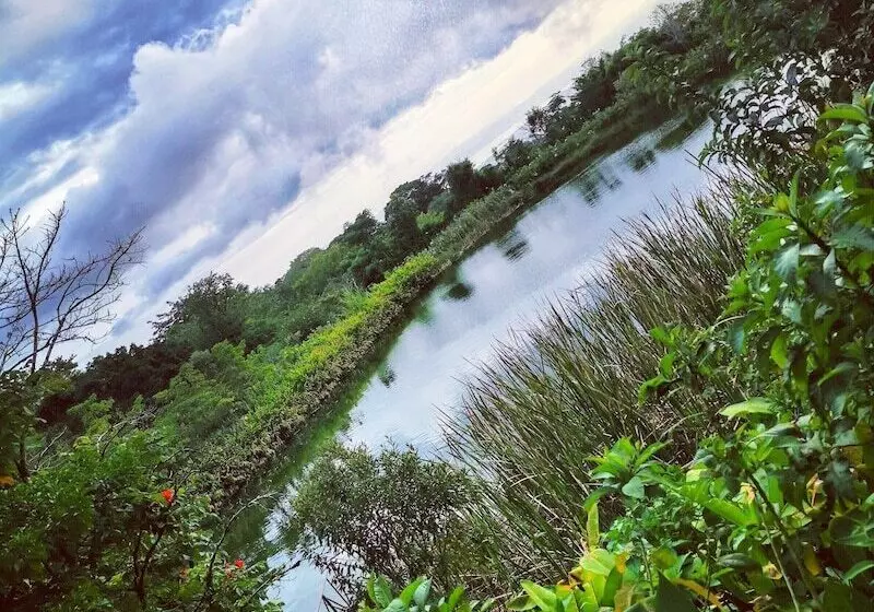 Fotos del hotel El Establo Mountain:  24