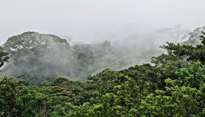 Fotos del hotel El Establo Mountain:  19