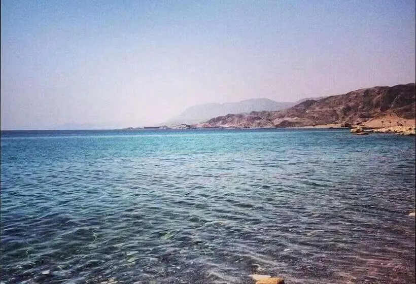 Fotos del hotel Tobya Boutique:  18