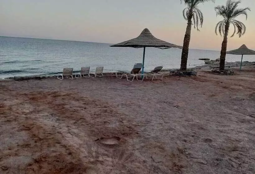 Fotos del hotel Tobya Boutique:  15