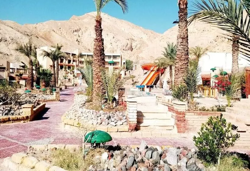 Fotos del hotel Tobya Boutique:  24