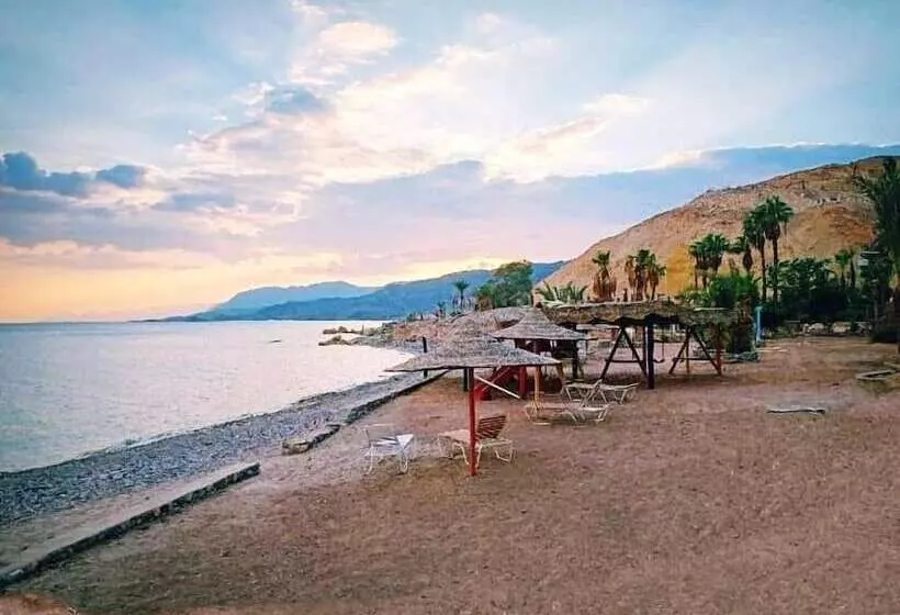 Fotos del hotel Tobya Boutique:  9