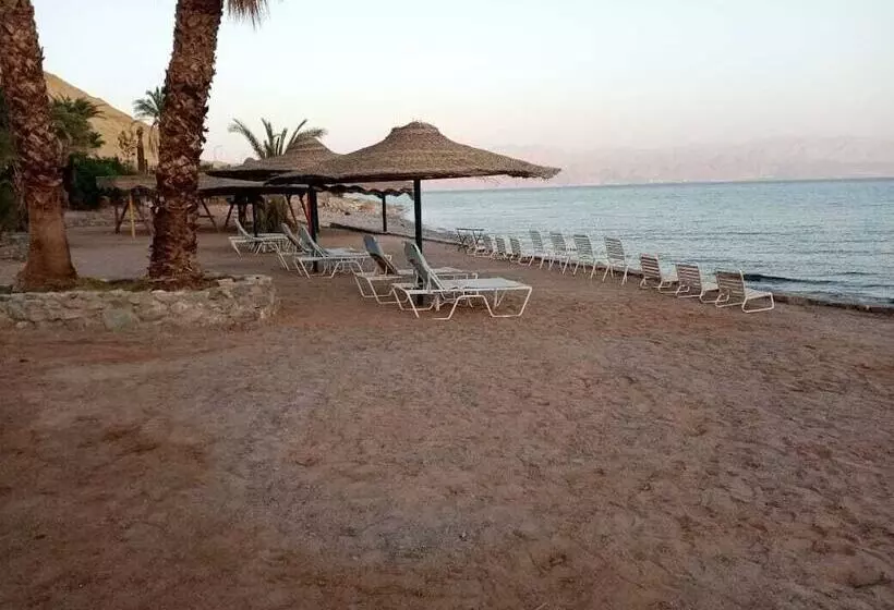 Fotos del hotel Tobya Boutique:  25