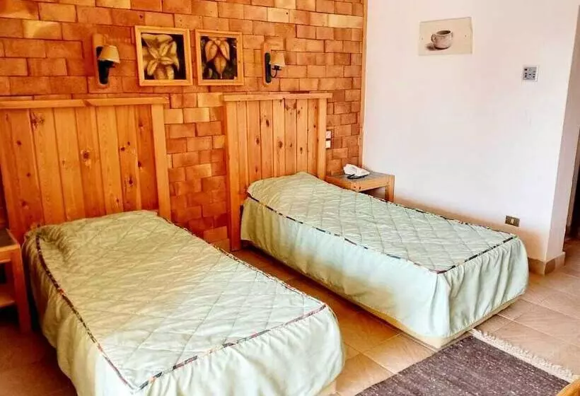 Fotos del hotel Tobya Boutique:  16