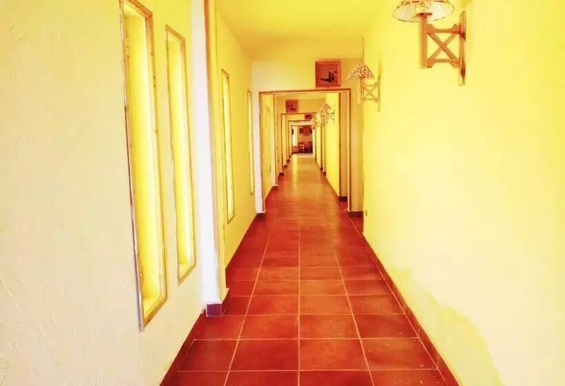 Fotos del hotel Tobya Boutique:  4