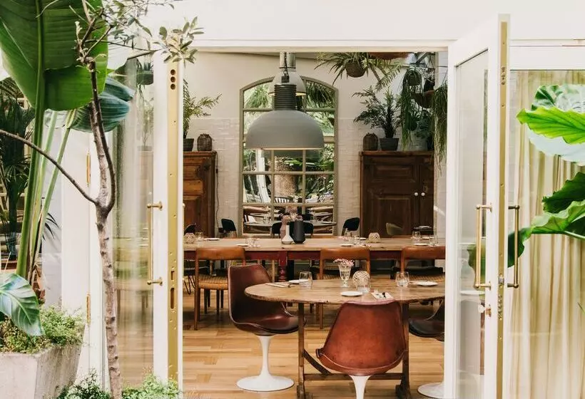 Fotos del hotel Pulitzer Barcelona:  6