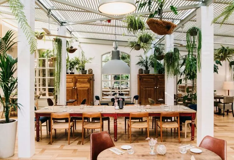 Fotos del hotel Pulitzer Barcelona:  12