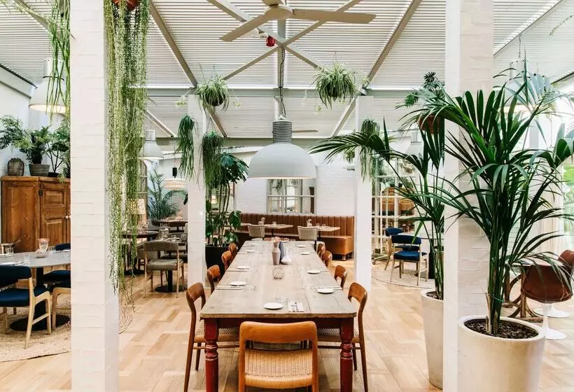 Fotos del hotel Pulitzer Barcelona:  21