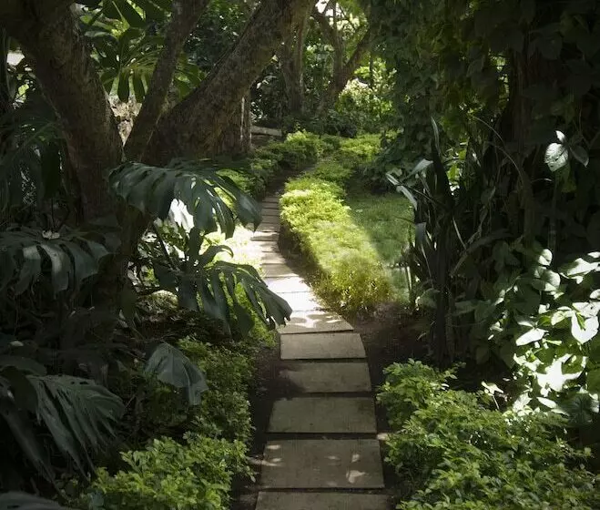 Fotos del hotel Four Points By Sheraton Arusha, The Arusha:  25