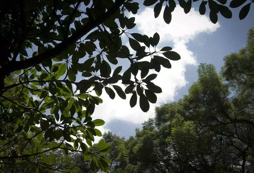 Fotos del hotel Four Points By Sheraton Arusha, The Arusha:  10