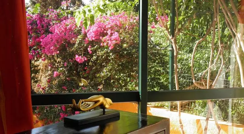 Fotos del hotel Alpino Atlantico Ayurveda Cure Centre  Adults Only:  21