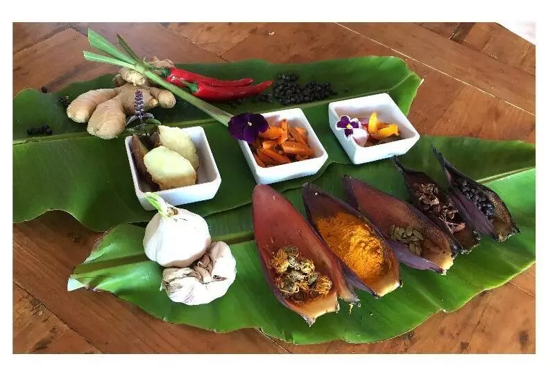 Fotos del hotel Alpino Atlantico Ayurveda Cure Centre  Adults Only:  3