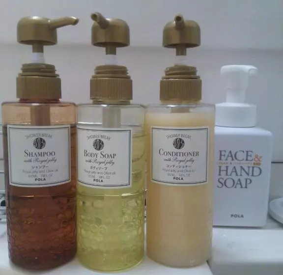 Fotos del hotel Chisun  Hamamatsucho:  8