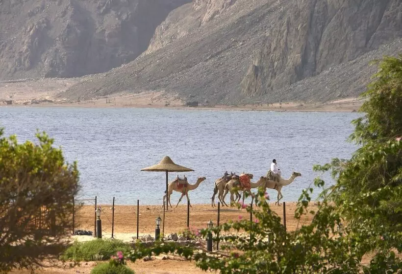 Fotos del hotel Happy Life Village:  22