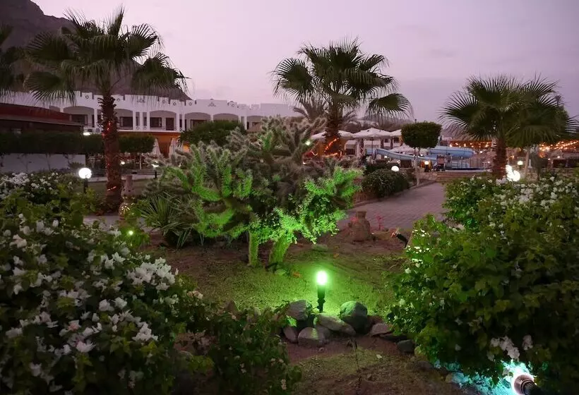 Fotos del hotel Happy Life Village:  20