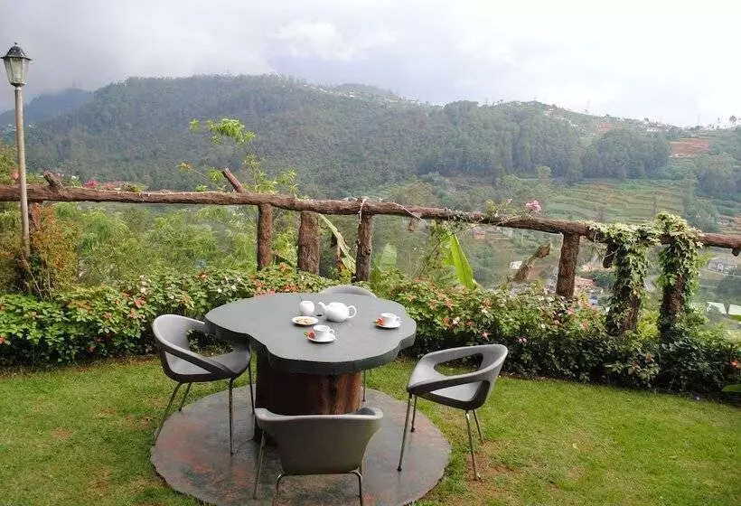 Fotos del hotel Misty Mountain Villas:  5
