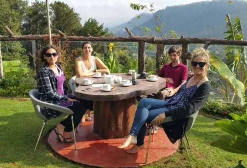 Fotos del hotel Misty Mountain Villas:  6