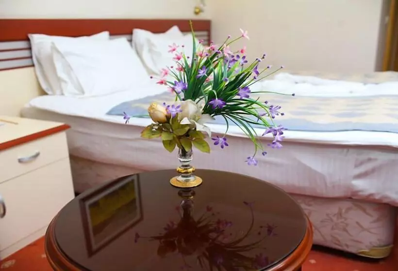 Fotos del hotel Akar International:  20