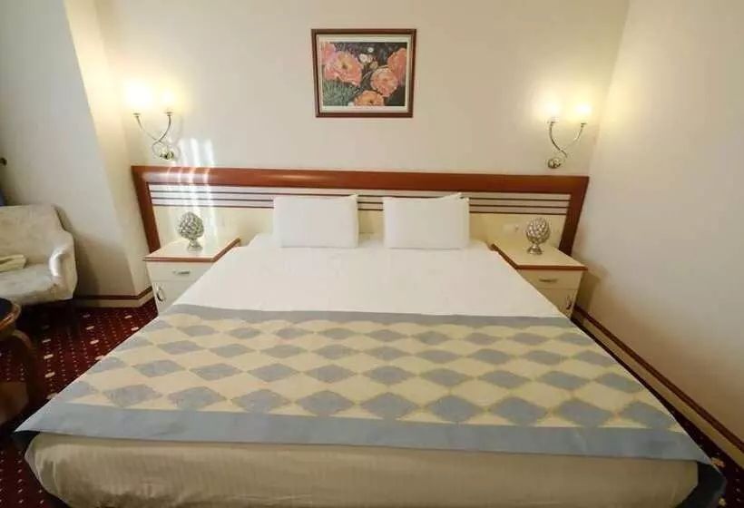 Fotos del hotel Akar International:  7