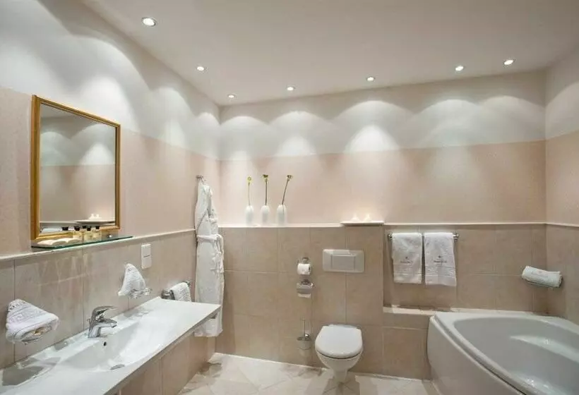 Fotos del hotel Amadeus:  4