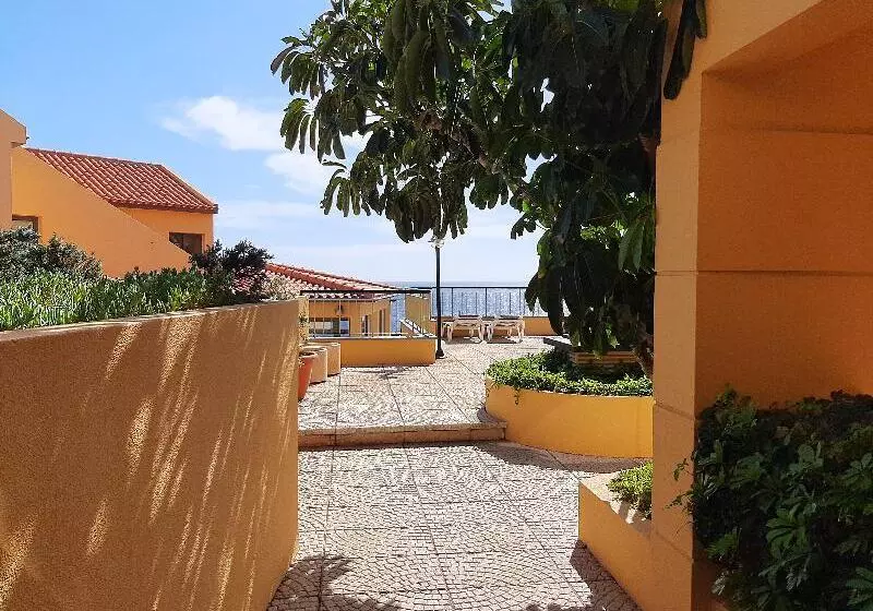 Fotos del hotel Apartamento Cais Da Oliveira:  18