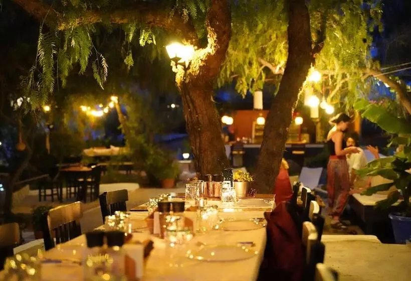 Fotos del hotel Mavi Suite Turkbuku:  14