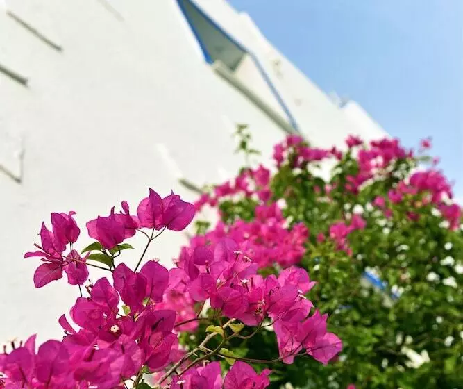 Fotos del hotel Mavi Suite Turkbuku:  3