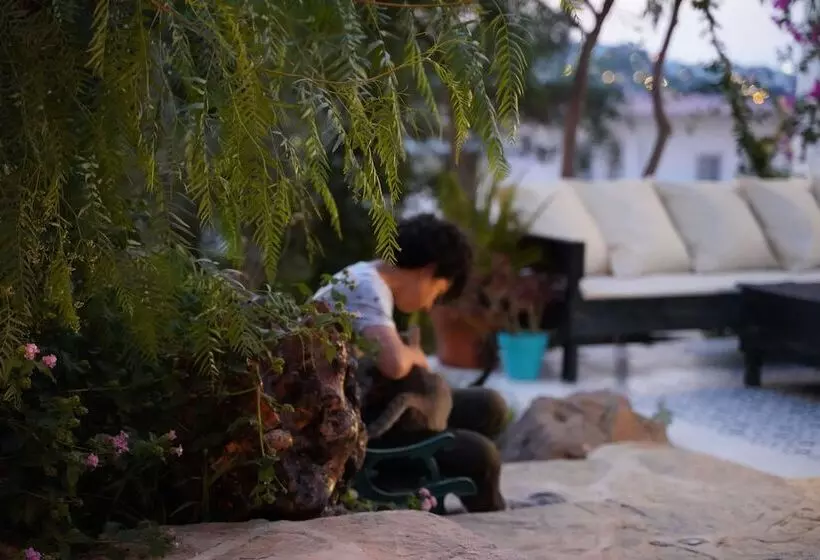 Fotos del hotel Mavi Suite Turkbuku:  23