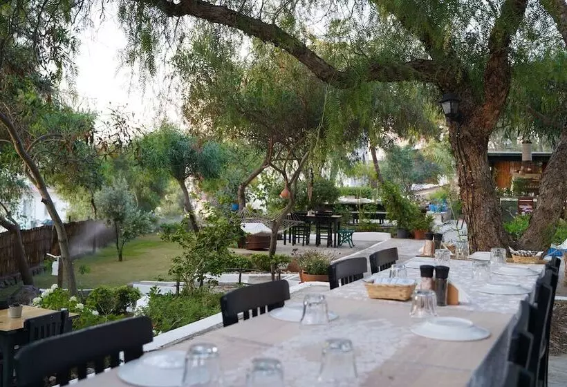 Fotos del hotel Mavi Suite Turkbuku:  15