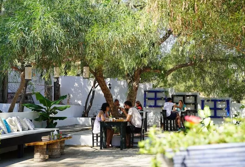 Fotos del hotel Mavi Suite Turkbuku:  25