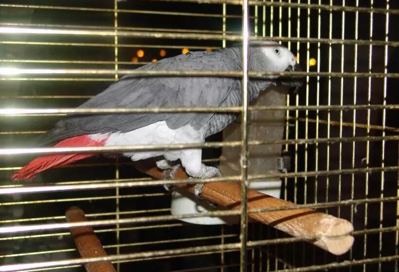 Fotos del hotel Arolithos Traditional Village:  6