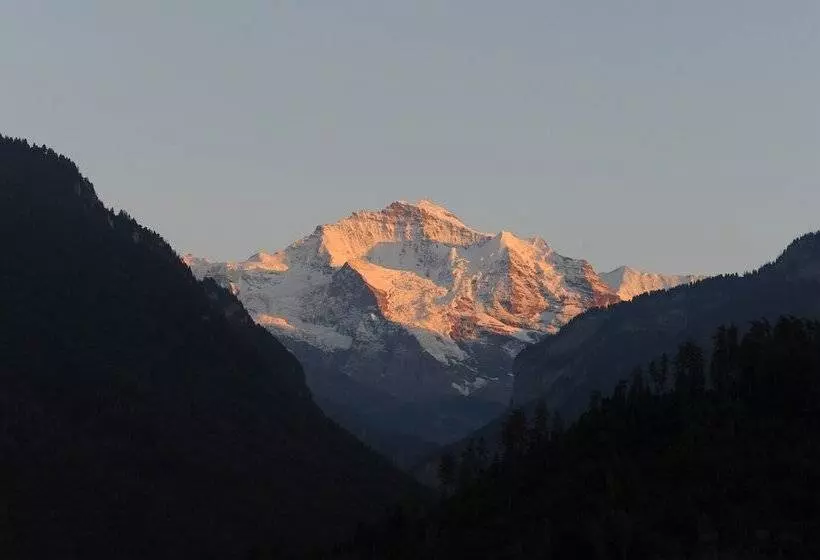 Fotos del hotel Derby:  8