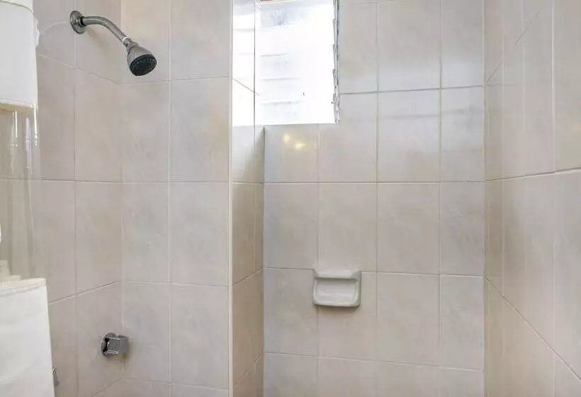 Fotos del hotel Capital O  Central:  25