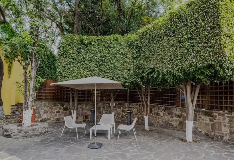 Fotos del hotel City Express Puebla Centro:  8