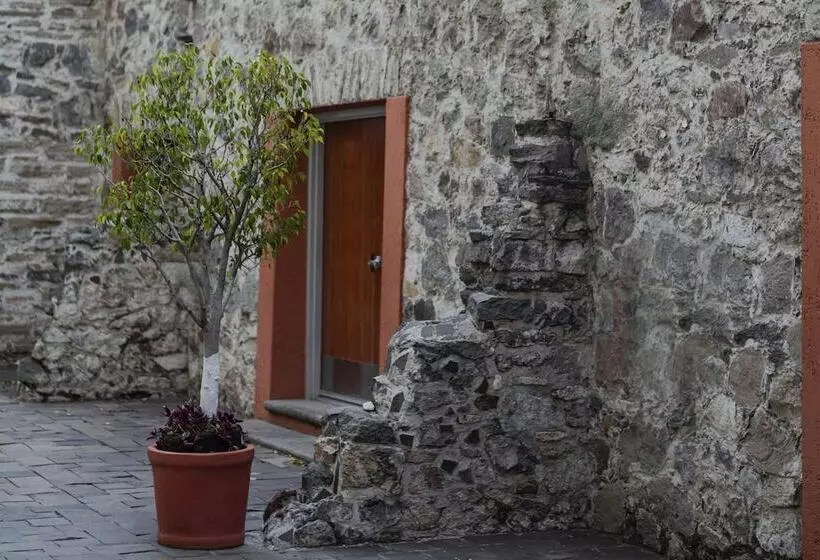 Fotos del hotel City Express Puebla Centro:  18