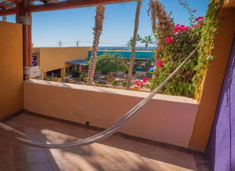 Fotos del hotel Los Patios:  16