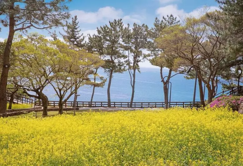 Fotos del hotel Lotte  Jeju:  18