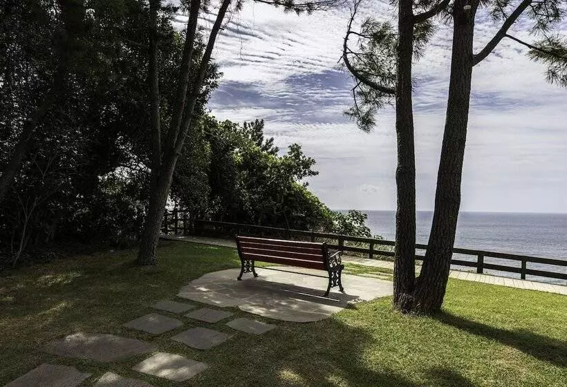 Fotos del hotel Lotte  Jeju:  21